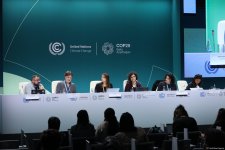 Bakıda CO29 çərçivəsində mətbuat konfransı keçirilib (FOTO)