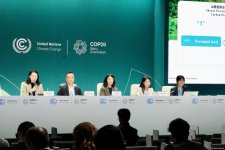 COP29 çərçivəsində "İqlim dəyişmələri üzrə submilli fəaliyyət" mövzusunda panel müzakirə keçirilib (FOTO)