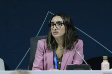 COP29 çərçivəsində “UNFCCC: Paris Sazişinin Kredit Mexanizmi ilə Karbon Bazarlarında Dürüstlüyün İnkişafı” adlı panel müzakirəsi keçirilib (FOTO)