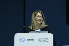 COP29 çərçivəsində “UNFCCC: Paris Sazişinin Kredit Mexanizmi ilə Karbon Bazarlarında Dürüstlüyün İnkişafı” adlı panel müzakirəsi keçirilib (FOTO)