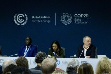 COP29 çərçivəsində “UNFCCC: Paris Sazişinin Kredit Mexanizmi ilə Karbon Bazarlarında Dürüstlüyün İnkişafı” adlı panel müzakirəsi keçirilib (FOTO)
