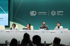 COP29-da “İqlim ədalətini tələb etmək üçün qlobal kampaniya” mövzusunda panel müzakirəsi keçirilib (FOTO)