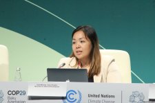 COP29-da “İqlim ədalətini tələb etmək üçün qlobal kampaniya” mövzusunda panel müzakirəsi keçirilib (FOTO)