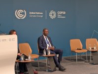 COP29 çərçivəsində "Regenerativ və imkanları genişləndirən şəhərlərə keçidi dəstəkləmək üçün daxili inkişafdan istifadə" mövzusunda panel müzakirəsi baş tutub (FOTO)