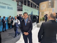 İSESCO-nun baş direktoru COP29-da Azərbaycan pavilyonu ilə tanış olub (FOTO)