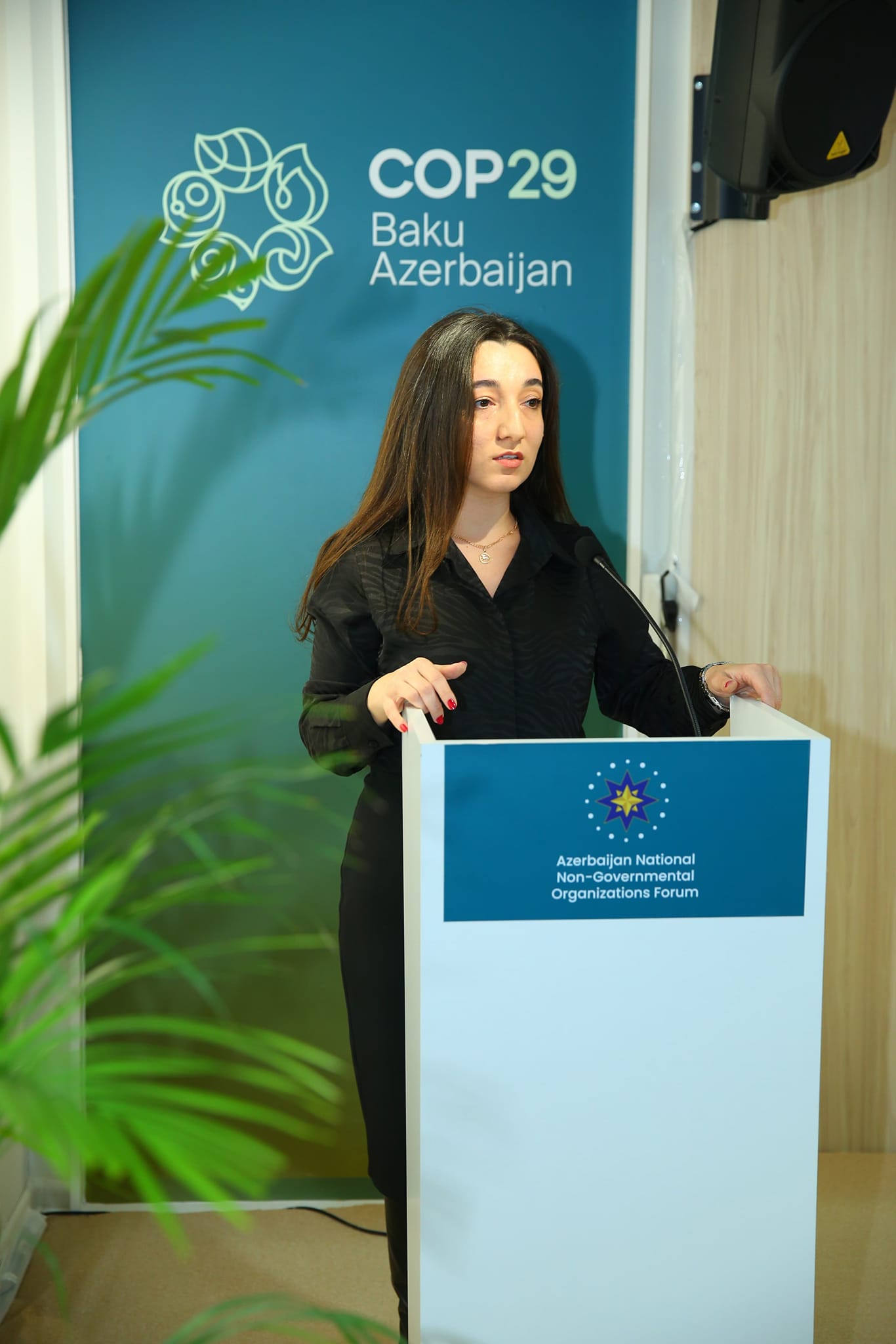 BAMF COP29-da iqlim böhranına qarşı QHT-lərin rolu mövzusunda konfrans təşkil edib (FOTO)