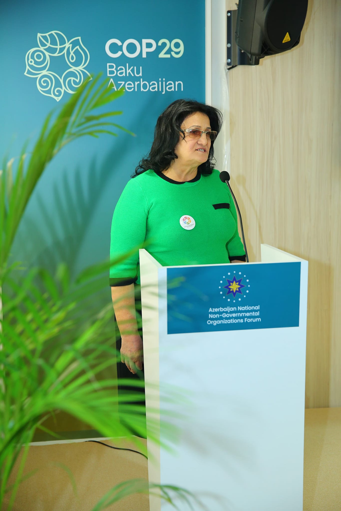 BAMF COP29-da iqlim böhranına qarşı QHT-lərin rolu mövzusunda konfrans təşkil edib (FOTO)