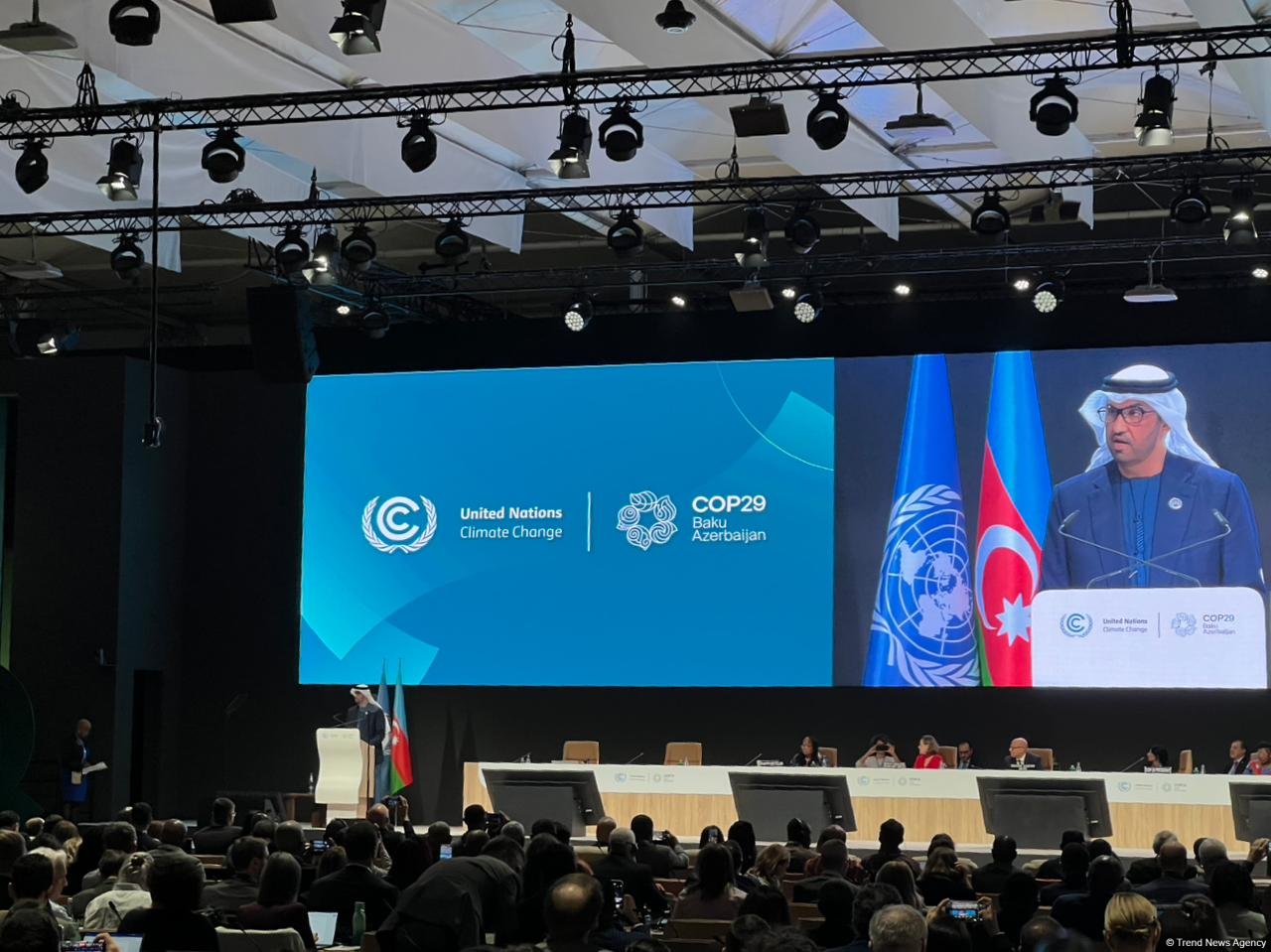 COP29 Azərbaycanda növbəti uğurunu qazanacaq - COP28 prezidenti