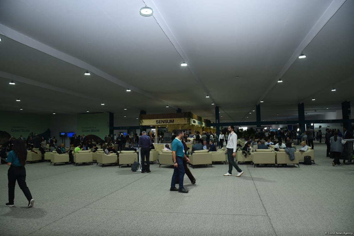 Bakıda keçirilən COP29-dan FOTOSESSİYA