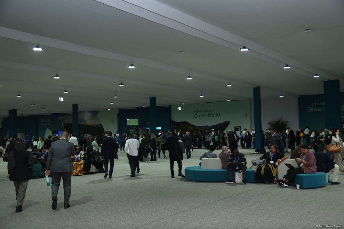 Bakıda keçirilən COP29-dan FOTOSESSİYA