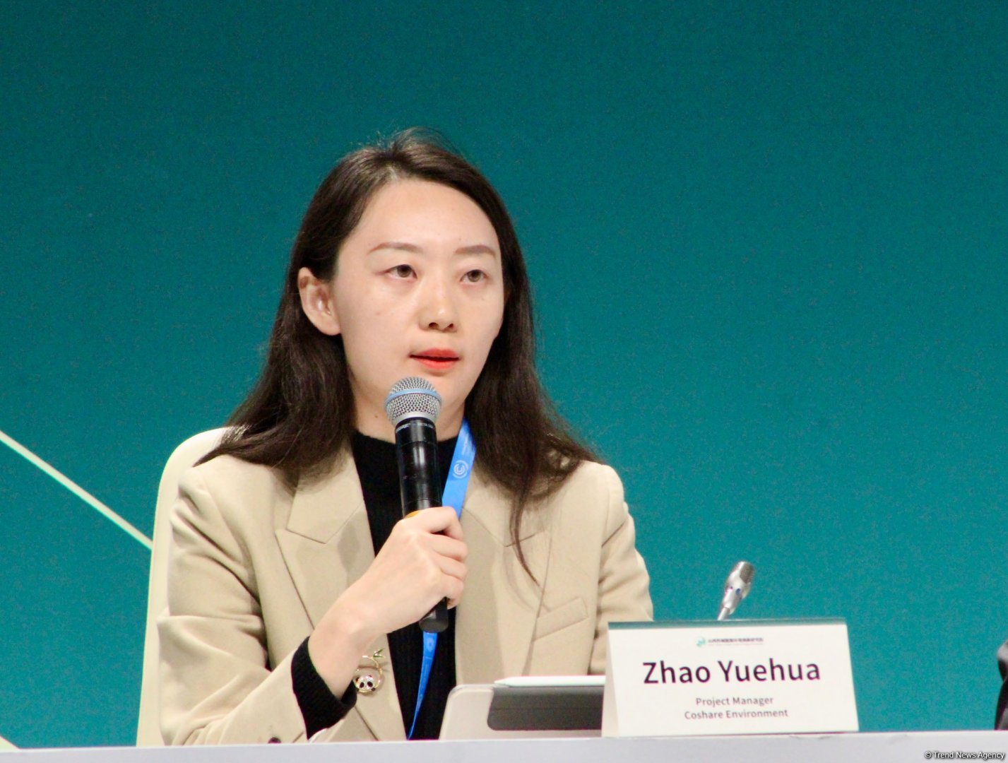 COP29 çərçivəsində "İqlim dəyişmələri üzrə submilli fəaliyyət" mövzusunda panel müzakirə keçirilib (FOTO)