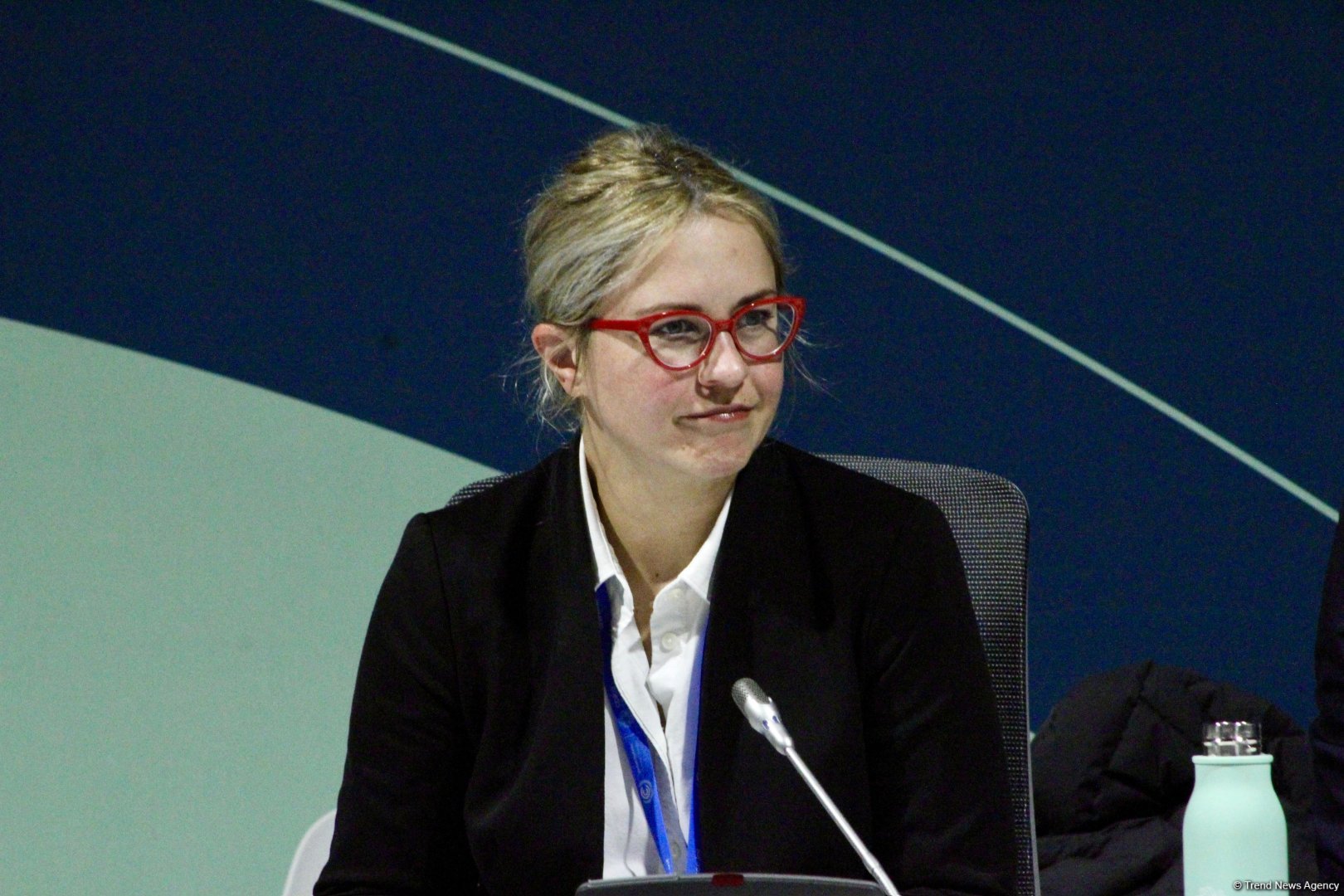 COP29 çərçivəsində “UNFCCC: Paris Sazişinin Kredit Mexanizmi ilə Karbon Bazarlarında Dürüstlüyün İnkişafı” adlı panel müzakirəsi keçirilib (FOTO)