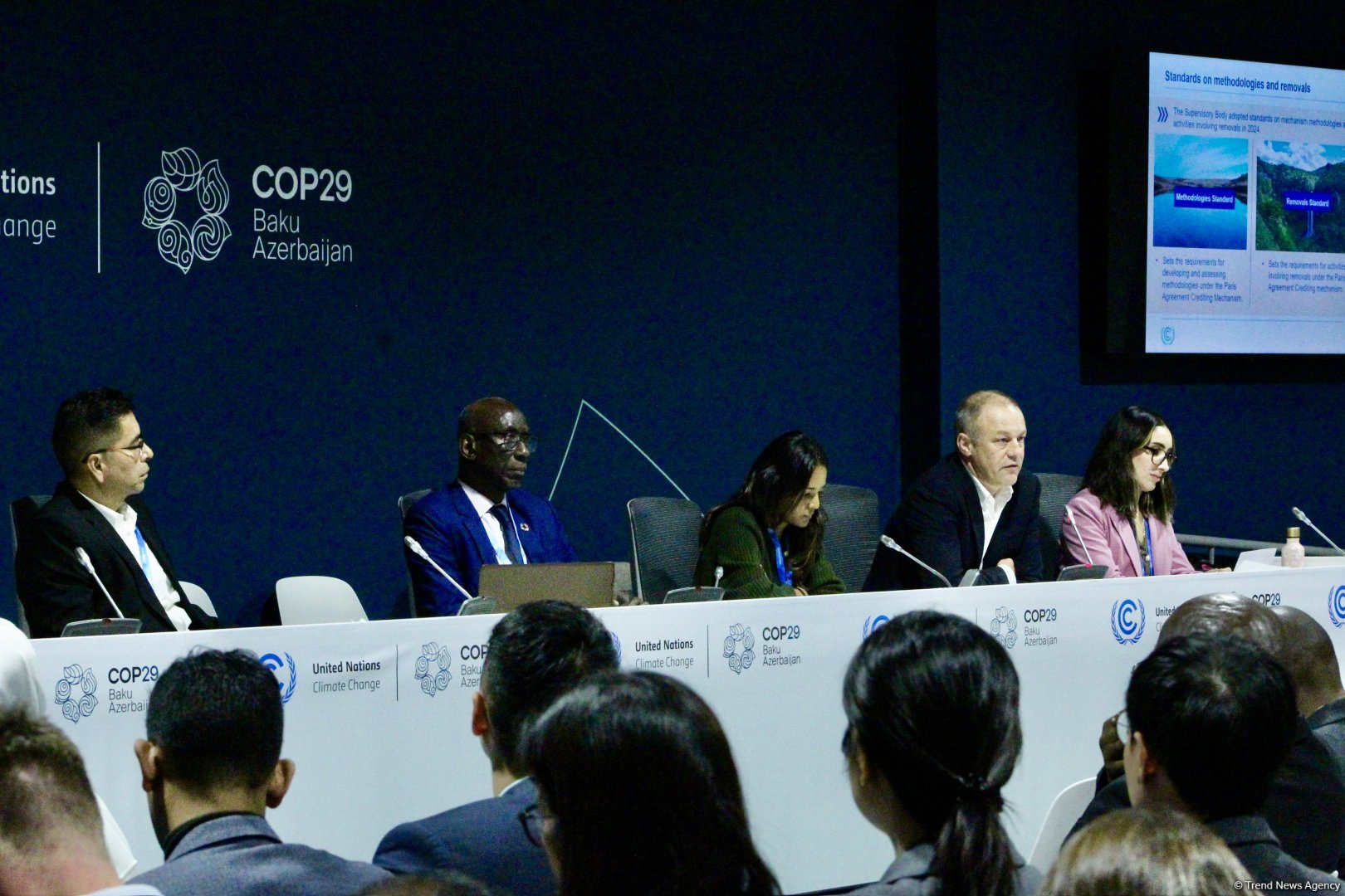 COP29 çərçivəsində “UNFCCC: Paris Sazişinin Kredit Mexanizmi ilə Karbon Bazarlarında Dürüstlüyün İnkişafı” adlı panel müzakirəsi keçirilib (FOTO)