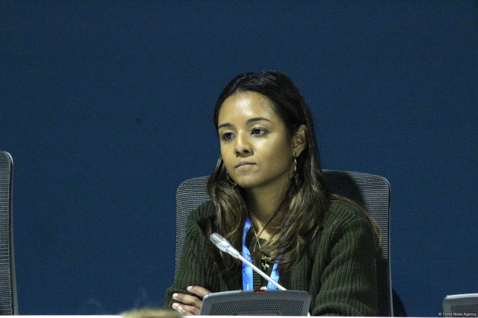 COP29 çərçivəsində “UNFCCC: Paris Sazişinin Kredit Mexanizmi ilə Karbon Bazarlarında Dürüstlüyün İnkişafı” adlı panel müzakirəsi keçirilib (FOTO)