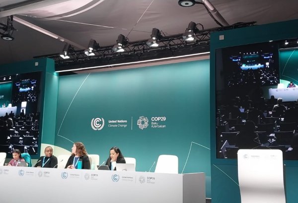 USCAN: ABŞ-dəki seçkilərin nəticələri iqlim siyasətinə necə təsir göstərir – COP29 çərçivəsində keçirilən mətbuat konfransı