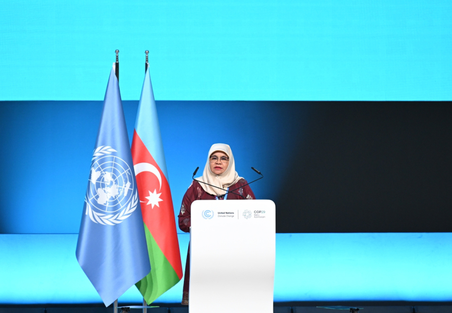 Bakıda COP29-un Liderlər Sammitinin açılış mərasimi keçirilib, Prezident İlham Əliyev çıxış edib (FOTO/VİDEO) (YENİLƏNİB-6)