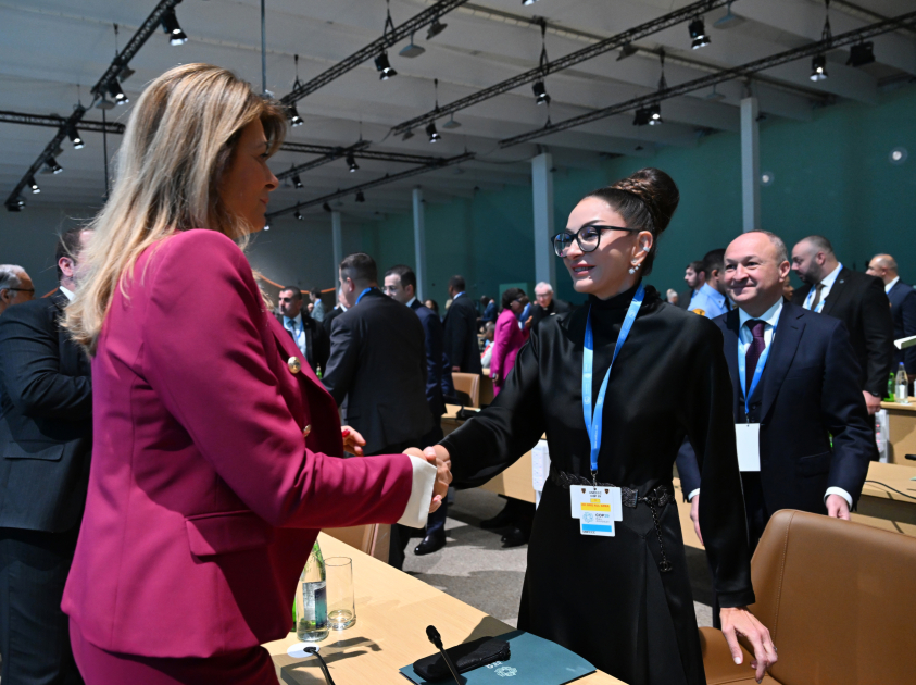 Bakıda COP29-un Liderlər Sammitinin açılış mərasimi keçirilib, Prezident İlham Əliyev çıxış edib (FOTO/VİDEO) (YENİLƏNİB-6)