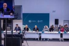 COP29-da bərpa olunan enerji və enerji səmərəliliyinə investisiyaların artırılmasına dair Nazirlər Dialoqu keçirilib (FOTO)