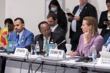 COP29 çərçivəsində “Karbonsuzlaşdırma, qida sistemlərinin uyğunlaşdırılması və təbiətin bərpası 1.5°C yolunda” mövzusunda müzakirələr aparılıb (FOTO)