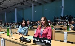 Bakıda COP29-un Liderlər Sammitinin açılış mərasimi keçirilib, Prezident İlham Əliyev çıxış edib (FOTO/VİDEO) (YENİLƏNİB-6)