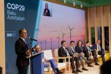 COP29-un Yaşıl Zonasında korporativ dayanıqlılıq mövzusunda panel sessiyası baş tutub (FOTO)