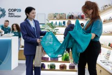 COP29-un Yaşıl Zonasında korporativ dayanıqlılıq mövzusunda panel sessiyası baş tutub (FOTO)