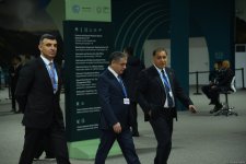 Bakıda keçirilən COP29-un ikinci günündən FOTOSESSİYA