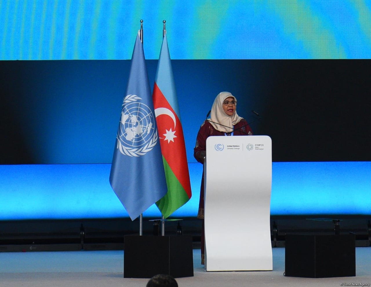 Maimuna Şərif COP29 Konfransının təşkilinə görə Prezident İlham Əliyevə təşəkkür edib