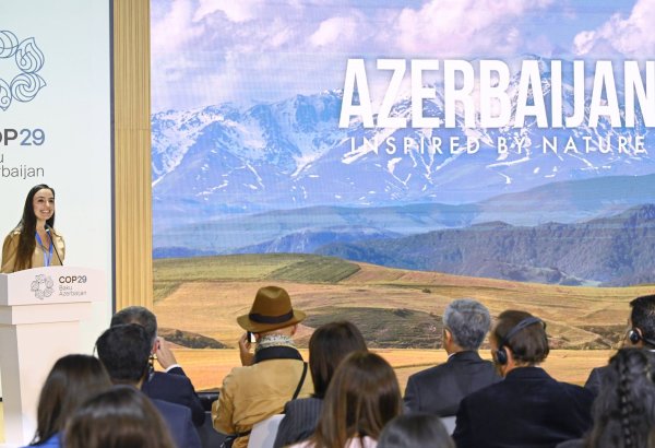COP29 çərçivəsində Heydər Əliyev Fondunun “Azərbaycan. Təbiətin sehrində” nəşri təqdim edilib (FOTO/VİDEO)