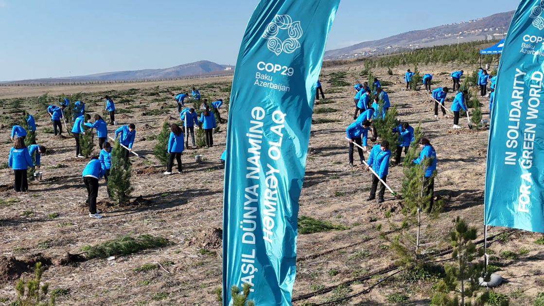 COP29-da Birinci xanımların iştirakı ilə “Gənclər iqlim fəaliyyətlərinin ön cəbhəsində” mövzusunda konfrans keçirilib (FOTO)