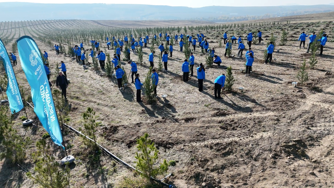 COP29-da Birinci xanımların iştirakı ilə “Gənclər iqlim fəaliyyətlərinin ön cəbhəsində” mövzusunda konfrans keçirilib (FOTO)