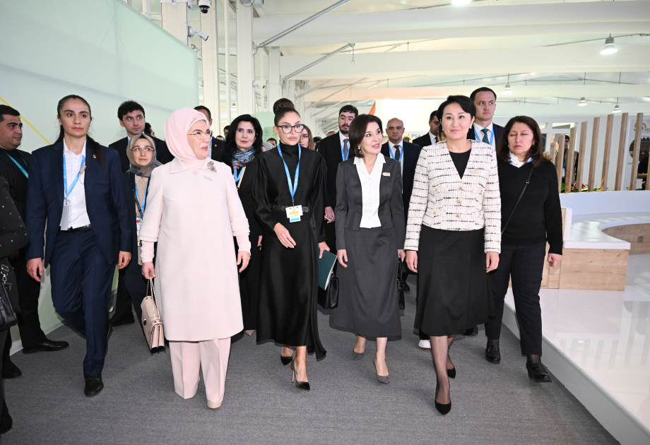 COP29-da Birinci xanımların iştirakı ilə “Gənclər iqlim fəaliyyətlərinin ön cəbhəsində” mövzusunda konfrans keçirilib (FOTO)