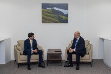 Energetika naziri COP29 tədbiri zamanı bir sıra görüşlər keçirib (FOTO)