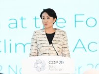 COP29-da Birinci xanımların iştirakı ilə “Gənclər iqlim fəaliyyətlərinin ön cəbhəsində” mövzusunda konfrans keçirilib (FOTO)