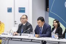COP29 çərçivəsində “Torpaqların deqradasiyası və iqlim dəyişikliyi” mövzusunda panel müzakirələr keçirilib (FOTO)