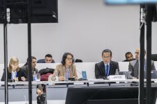COP29 çərçivəsində “Torpaqların deqradasiyası və iqlim dəyişikliyi” mövzusunda panel müzakirələr keçirilib (FOTO)
