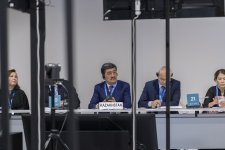 COP29 çərçivəsində “Torpaqların deqradasiyası və iqlim dəyişikliyi” mövzusunda panel müzakirələr keçirilib (FOTO)