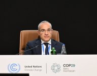 Dünya İqtisadi Forumunun iştirakı ilə COP29 çərçivəsində yüksək səviyyəli sessiya baş tutub (FOTO)