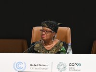 Dünya İqtisadi Forumunun iştirakı ilə COP29 çərçivəsində yüksək səviyyəli sessiya baş tutub (FOTO)