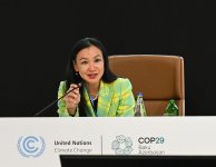 Dünya İqtisadi Forumunun iştirakı ilə COP29 çərçivəsində yüksək səviyyəli sessiya baş tutub (FOTO)