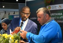 COP29-un üçüncü günündən FOTOREPORTAJ