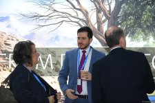 COP29-un üçüncü günündən FOTOREPORTAJ