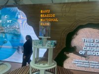Dənizkənarı Milli Park COP29-da öz pavilyonunu təqdim edib (FOTO)