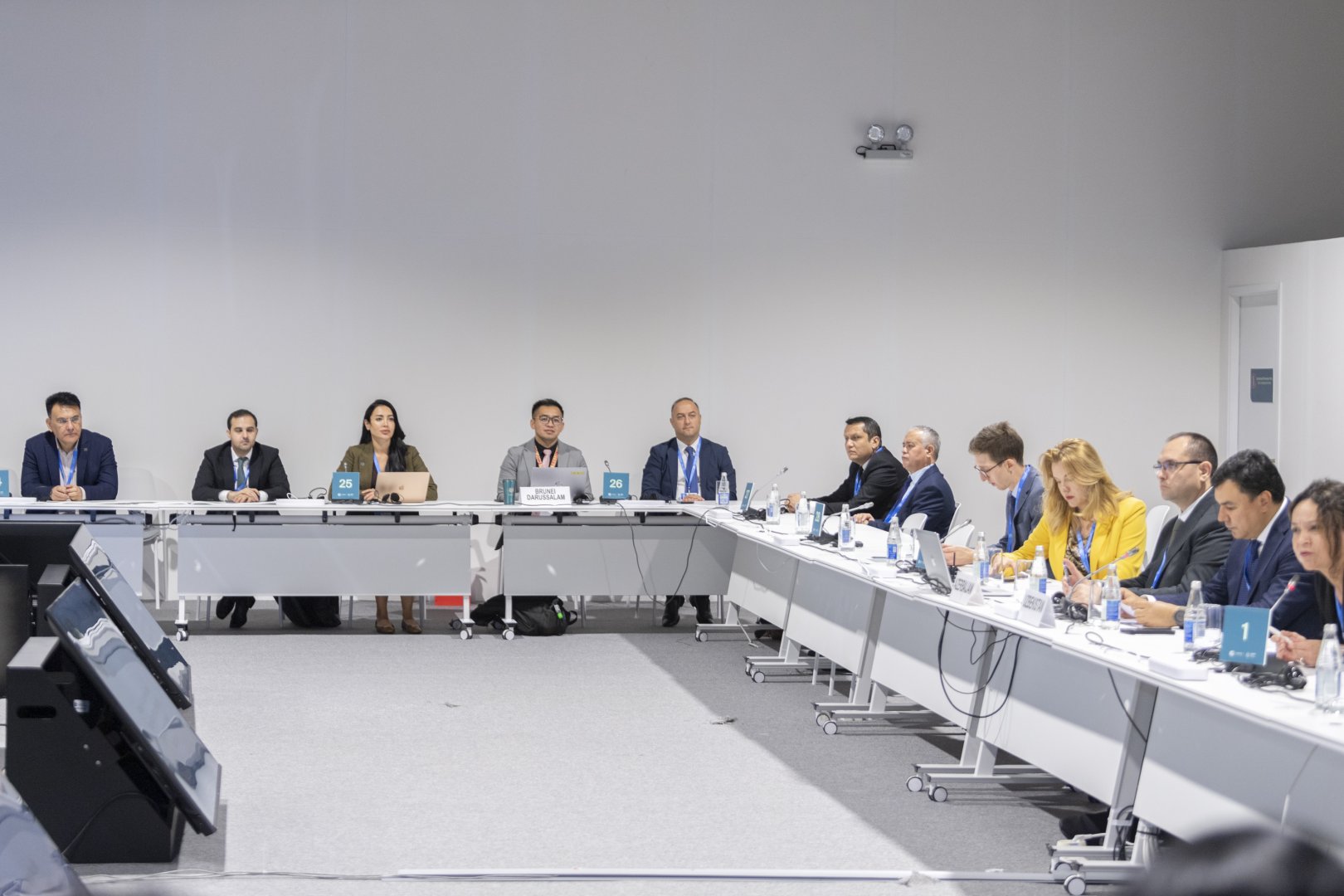 COP29 çərçivəsində “Torpaqların deqradasiyası və iqlim dəyişikliyi” mövzusunda panel müzakirələr keçirilib (FOTO)