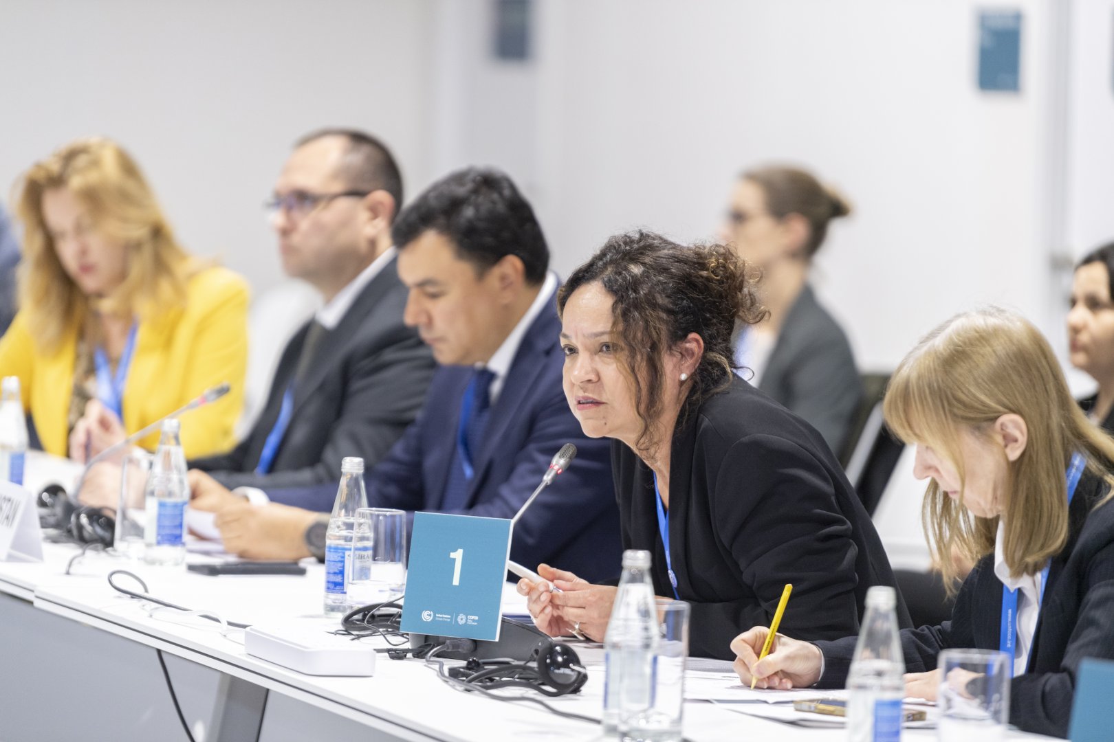 COP29 çərçivəsində “Torpaqların deqradasiyası və iqlim dəyişikliyi” mövzusunda panel müzakirələr keçirilib (FOTO)