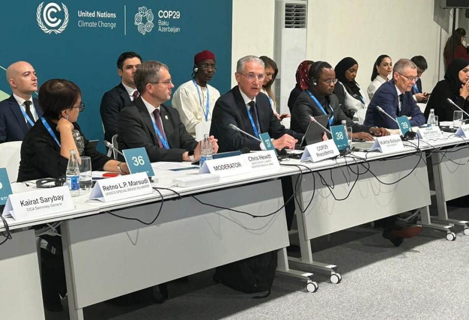 COP29 çərçivəsində iqlim fəaliyyəti üçün su təşəbbüsü elan ediləcək - Muxtar Babayev
