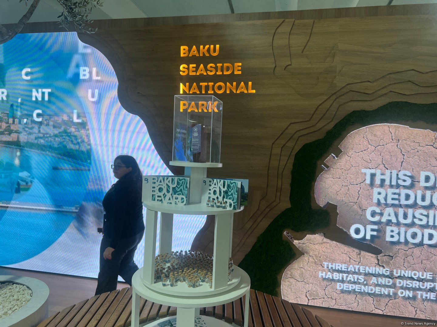 Dənizkənarı Milli Park COP29-da öz pavilyonunu təqdim edib (FOTO)