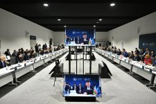 COP29 çərçivəsində iqlim, innovasiya, yaşıl iqtisadiyyat və ticarət üçün TDT Tərəfdaşlığına dair bəyanat imzalanıb (FOTO)