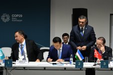 COP29 çərçivəsində iqlim, innovasiya, yaşıl iqtisadiyyat və ticarət üçün TDT Tərəfdaşlığına dair bəyanat imzalanıb (FOTO)