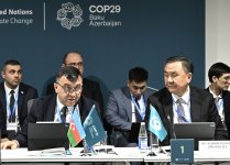 COP29 çərçivəsində iqlim, innovasiya, yaşıl iqtisadiyyat və ticarət üçün TDT Tərəfdaşlığına dair bəyanat imzalanıb (FOTO)